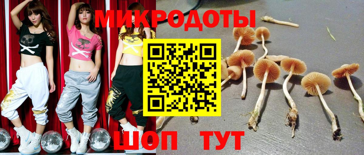Галлюциногенные грибы Magic Shrooms  Вход с VPN  наркотики  Нягань 