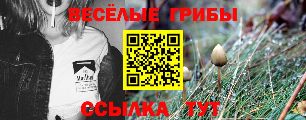 Галлюциногенные грибы Cubensis Нягань